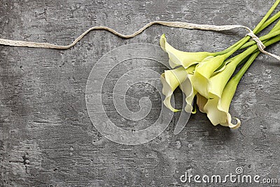 White calla flowers (Zantedeschia) on grey background, Stock Photo