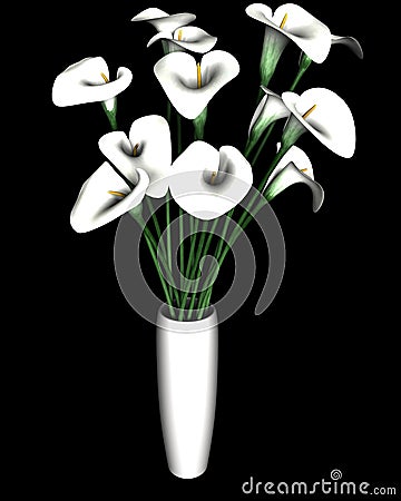 White Calla Lily Flower Isolated On Black Stock Photo