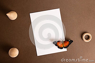 White card with orange butterfly in retro style.Abstract creative background for text. Elegant, modern style. Romantic Stock Photo
