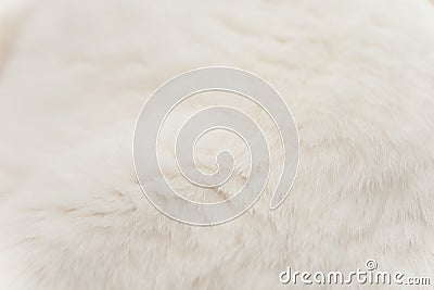 White Cat Fur Stock Photo