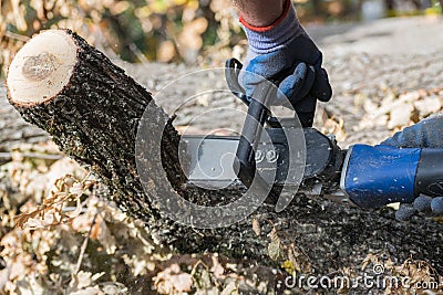 Man cuts trunk with an electric saw Stock Photo