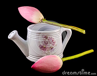 White ceramic watercan, sprinkler, with pink lotus, water lily flowers, close up Stock Photo