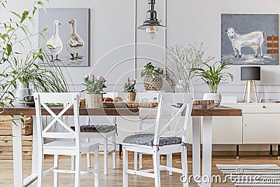 White chairs at wooden table with flowers in eclectic dining room interior with posters. Real photo Stock Photo