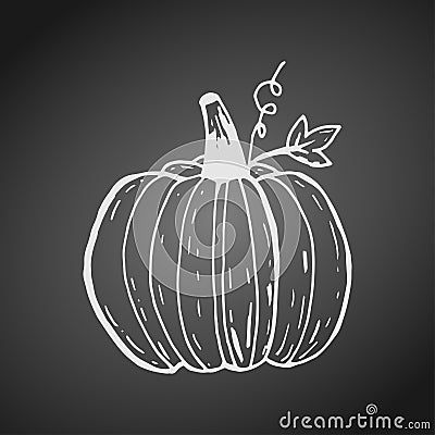 White chalk outline of pumpkin on dark blackboard Vector Illustration