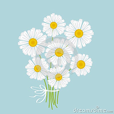 White chamomile bouquet Vector Illustration