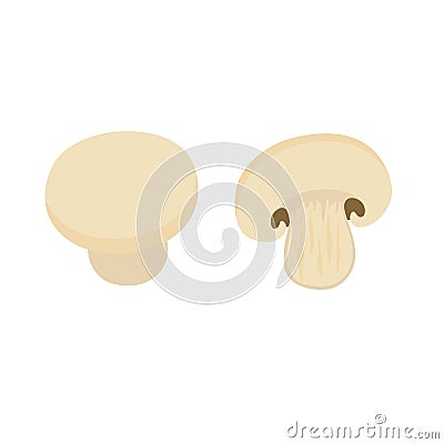 White champignon mushrooms Vector Illustration