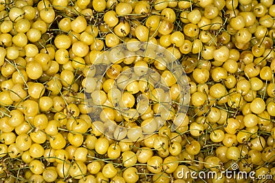 White cherries Stock Photo