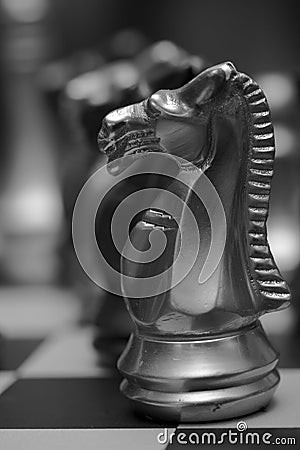 White chess horse Stock Photo