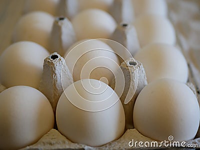 White chicken eggs in a special container. natural food. health food. Stock Photo