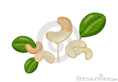 White chocolate covered cashew nuts Stock Photo