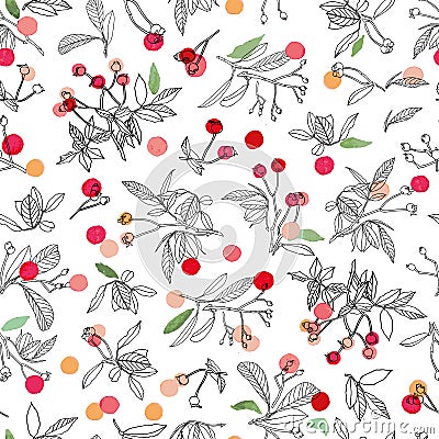 White christmas pattern with rose plant and buds. Vector Illustration