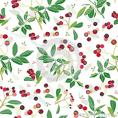 White christmas pattern with rose plant and buds. Vector Illustration