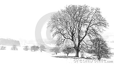 White Christmas Snow on Otley Chevin, West Yorkshire Stock Photo