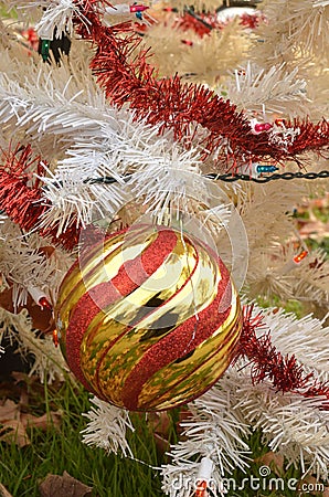 White Christmas tree color lights red and gold striped ball ornament Stock Photo