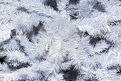 White Christmas tree detail for background. close-up Stock Photo