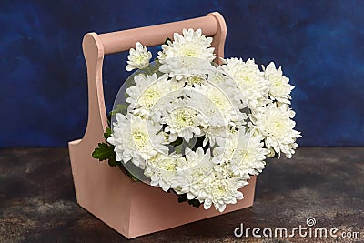 White chrysanthemum flowers in wooden box, blue background Stock Photo