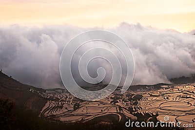 White cloud of mist entering and covering a rice field landscape in a valley between mountains at sunset. Stock Photo