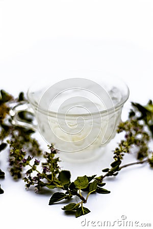 White colored Ice tea in a transparent cup isolated on white with some ice cubes and fresh bright leaves of holy basil. Stock Photo