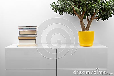 White commode with stack of books and flower pot in bright minimalism interior Stock Photo