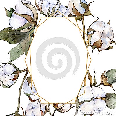 White cotton floral botanical flower. Watercolor background illustration set. Frame border ornament square. Cartoon Illustration