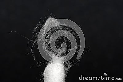 White cotton wool fibers on black background Stock Photo