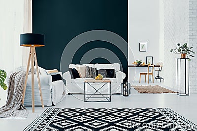 White couch against black wall in modern living room interior with patterned carpet. Real photo Stock Photo
