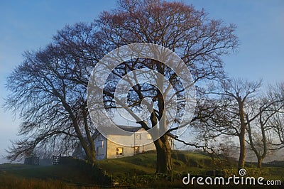 White Country House in Soft Evening Light Stock Photo