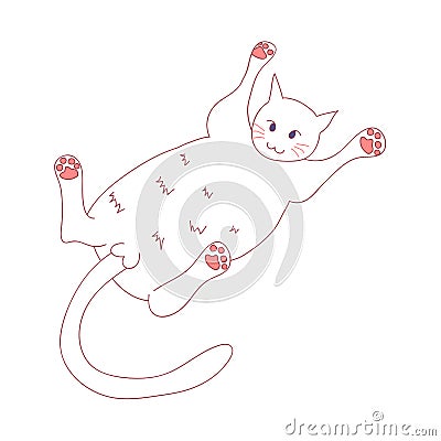 White Cute Cat Laying on Back. Vector Illustration. isolated on White Background. Vector Illustration