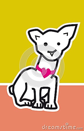 White cute chihuahua Stock Photo