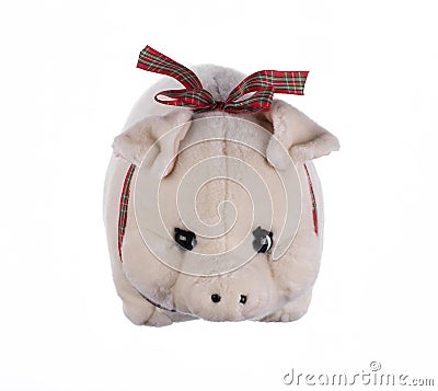 white cute plush soft toy pig isolated on white Stock Photo