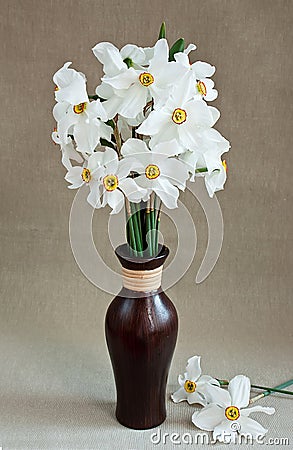 White daffodils in a vase Stock Photo