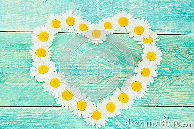 White daisy flower in heart shaped Stock Photo