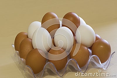 White and dark chicken eggs in a rack Stock Photo