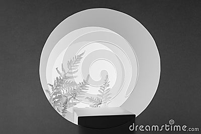 White, dark grey scene with rectangle black stand, fern leaves, round arches, light, silhouette, stage template in modern. Stock Photo