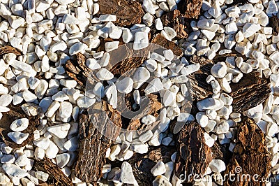 White decorative smooth stones and tree bark Stock Photo