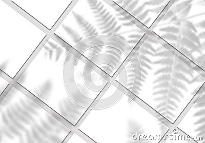 White Diagonal rectangles poster mockups lying on neutral Grey Floor Top View With Soft Tropical plants Shadows. White empty Cartoon Illustration