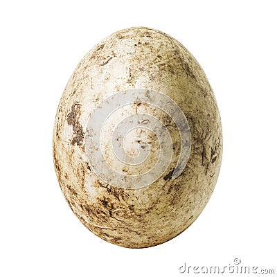 White dirty egg Stock Photo