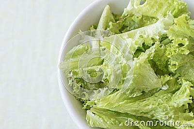 White dish with green leaves of fresh lettuce Stock Photo