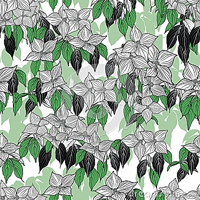 White dogwood flower black green leaf gradient white background design Vector Illustration
