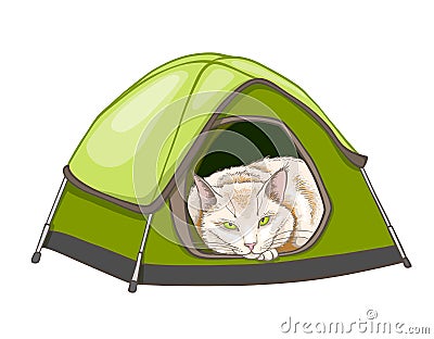 White domestic cat in the tent Vector Illustration