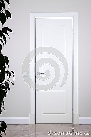 White door and switch on a light gray wall. The dark outline of a house plant Stock Photo