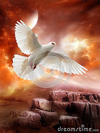 White Dove, Peace, Hope, Love, Alien Planet Stock Photo