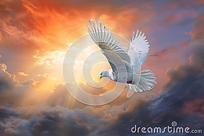 a white dove flying through a cloudy sky with the sun shining through the clouds behind it and the sun shining through the clouds Stock Photo