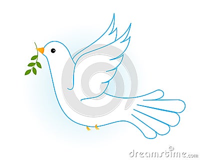 White dove / pigeon Vector Illustration