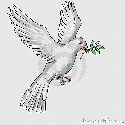 White Dove or Pigeon Carrying an Olive Leaf Watercolor Painting Cartoon Illustration