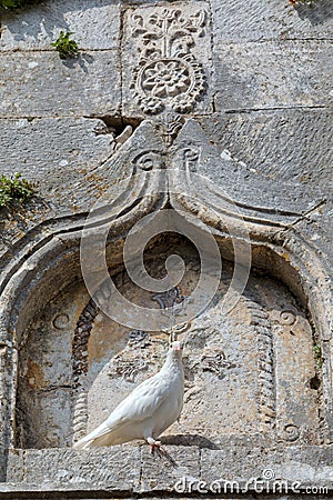 White Dove at Rosafa Fortress Entrance, Shkoder Stock Photo