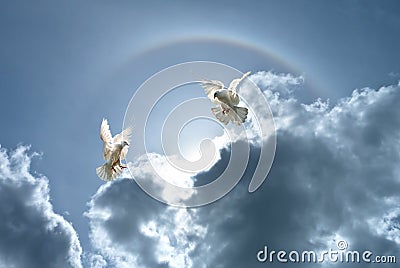 White doves against clouds and rainbow Stock Photo