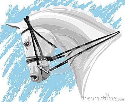 White Dressage Horse head Vector Illustration