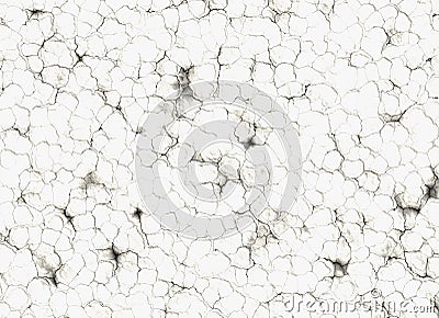 White dry cracked ground surface texture backgrounds Stock Photo