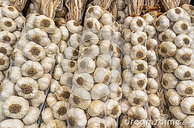 White dry garlic pile texture Stock Photo